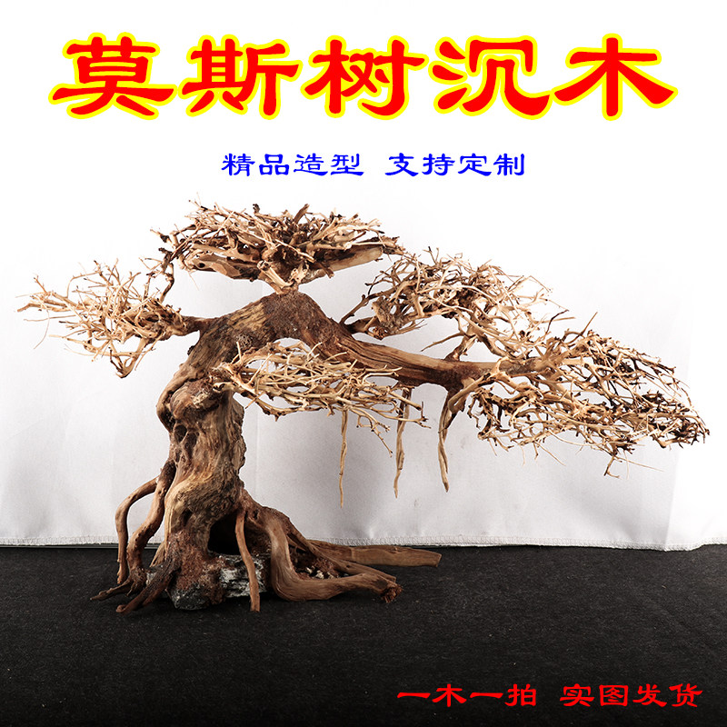 莫斯树成品鱼缸造景沉木迎客松树形骨架草缸水草水榕造景树巴西树