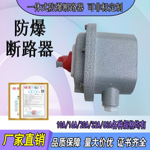 BXZ防爆断路器10A-63A2P/3P防爆空气开关一体式漏电开关控制箱柜