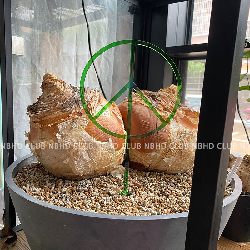 NBHD龟甲龙爬藤支架室内盆栽植物攀爬架山乌龟绿植块根桌面花卉架