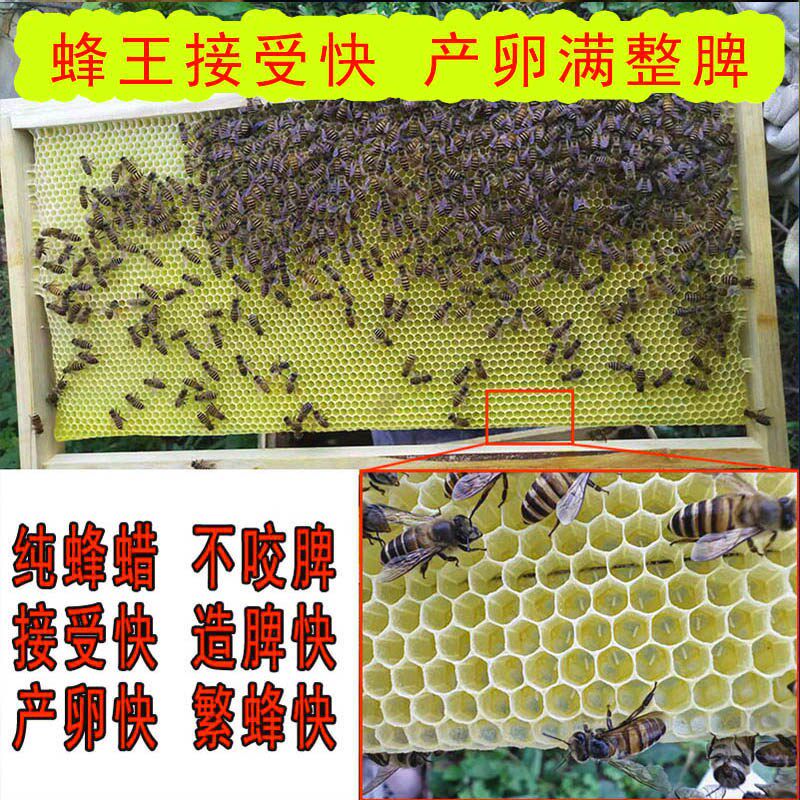 巢础中蜂深房中锋巢础片专用纯蜂蜡巢础模板框成品带框精品蜜蜂巢