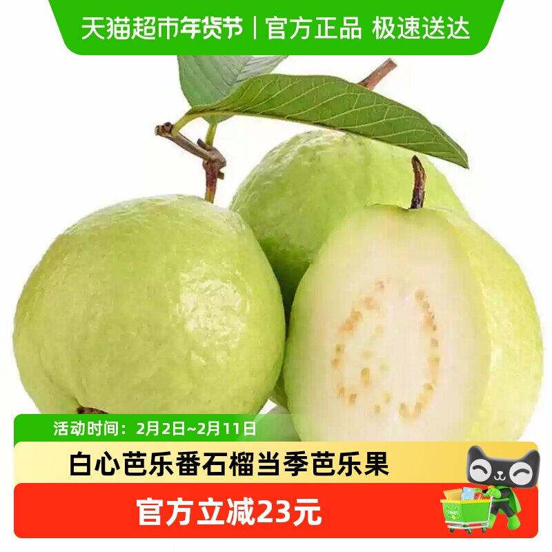 福建白心芭乐新鲜番石榴当季芭乐果白肉果园直发低糖脆甜软糯