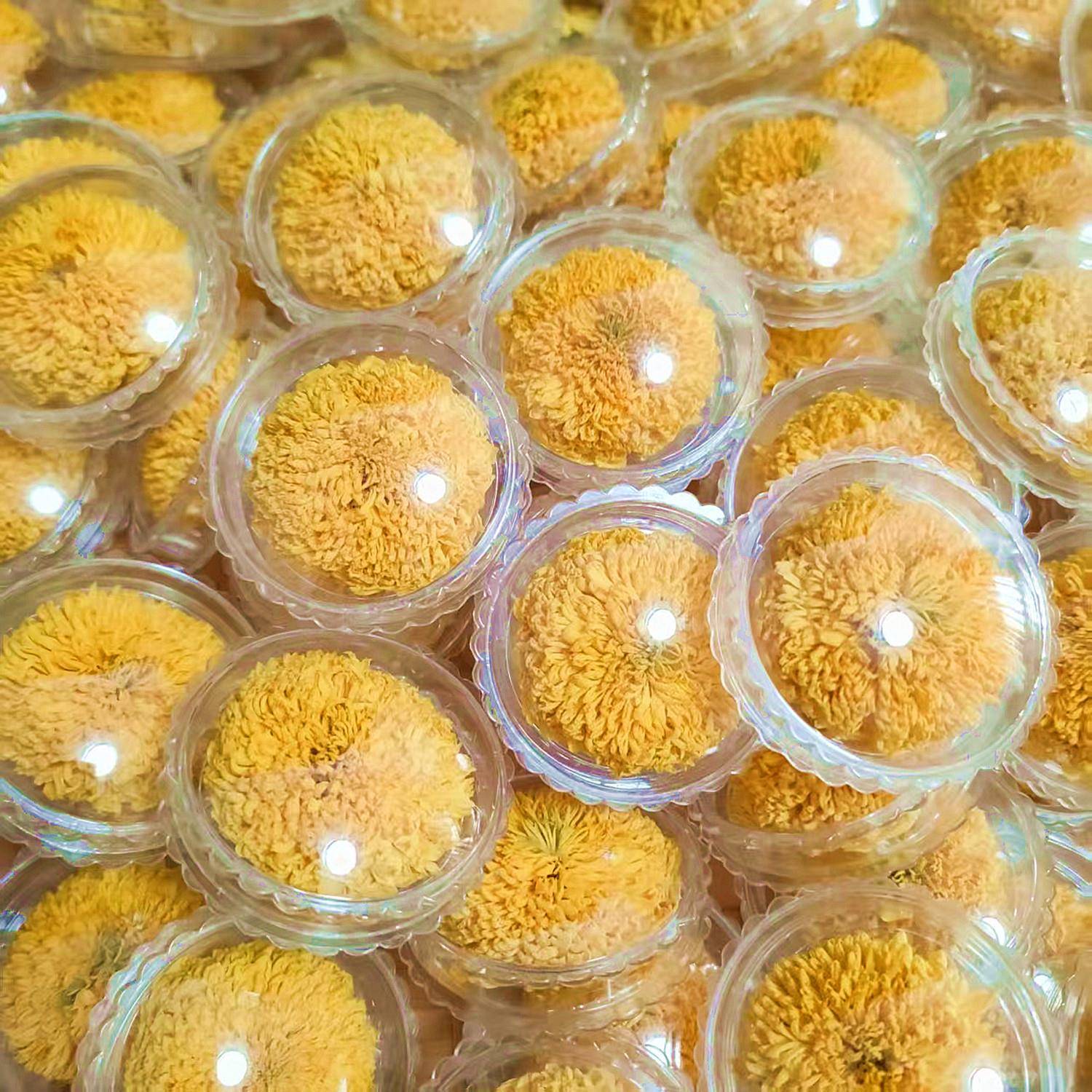 婺源皇菊独立包装晓起黄菊篁岭菊花茶江西上饶特产20朵装绣球花茶