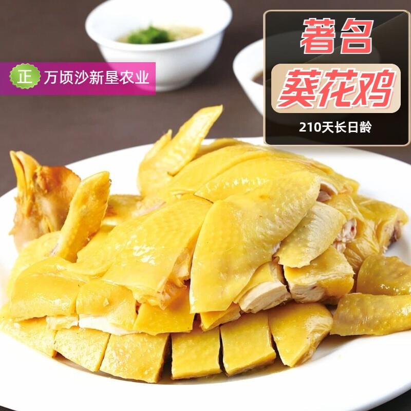 【特惠】广东名鸡南沙葵花鸡 烧鸟食材白切鸡半成品熟食不喂饲料
