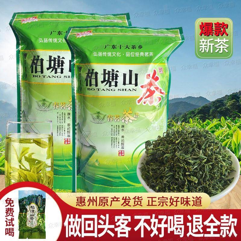 2026新茶店长推荐柏塘山茶惠州特产手工炒青散装绿茶浓香茶叶500g