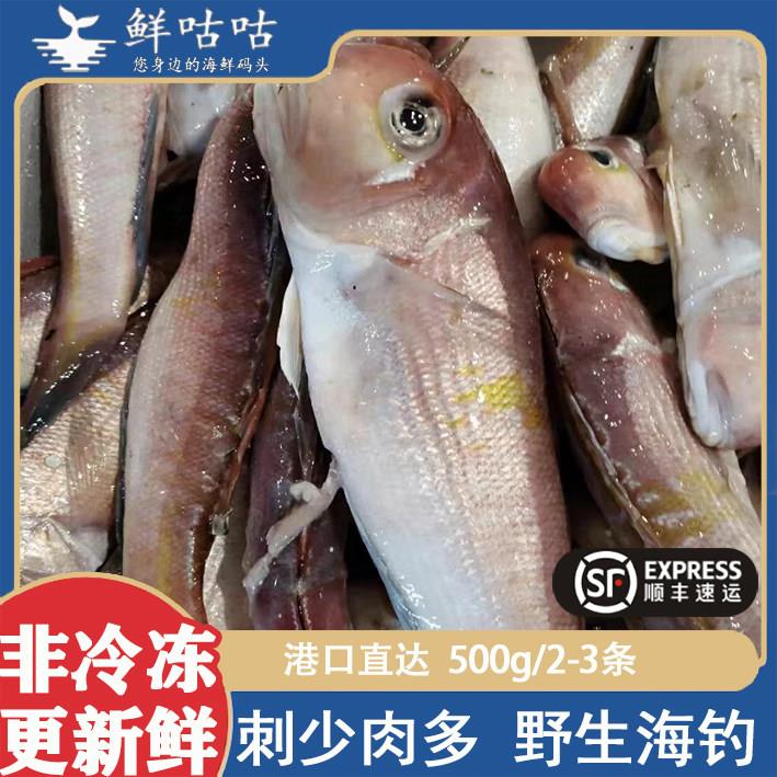 马头鱼方头鱼斧头鱼新鲜非冷冻海鲜水产甘雕宁波舟山海鲜东海食用图片