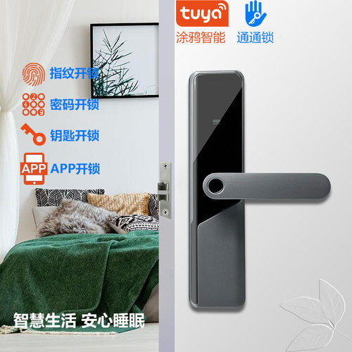 涂鸦指纹锁通通锁蓝牙IC卡锁把手一握开跨境钥匙锁室内门密码锁