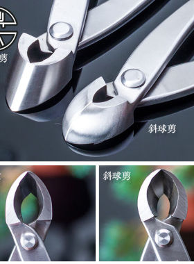 鼎木叉枝剪斜口斜球钳盆景修剪造型专用工具不锈钢制作枝剪刀英迈