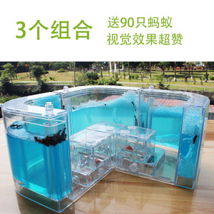 超大蚂蚁城堡蚂蚁家园蚁后宫殿蚂蚁工坊工房屋4个组合送蚂蚁120只