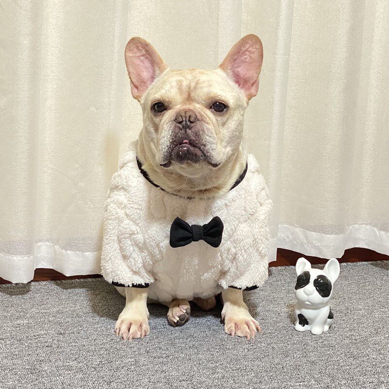法斗衣服秋冬加绒宠物狗狗领结毛衣巴哥柯基柴犬大码胖狗保暖卫衣