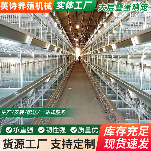 厂家层叠式全自动化捡蛋清粪/养鸡设备 小层叠蛋鸡笼养殖设备