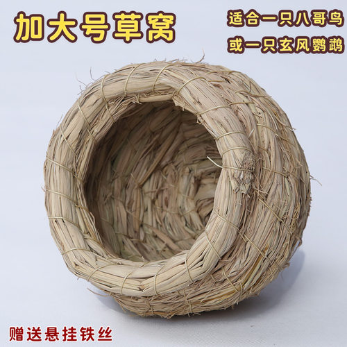 超大鸟窝天然稻草编牡丹虎皮玄凤鹦鹉过冬草窝