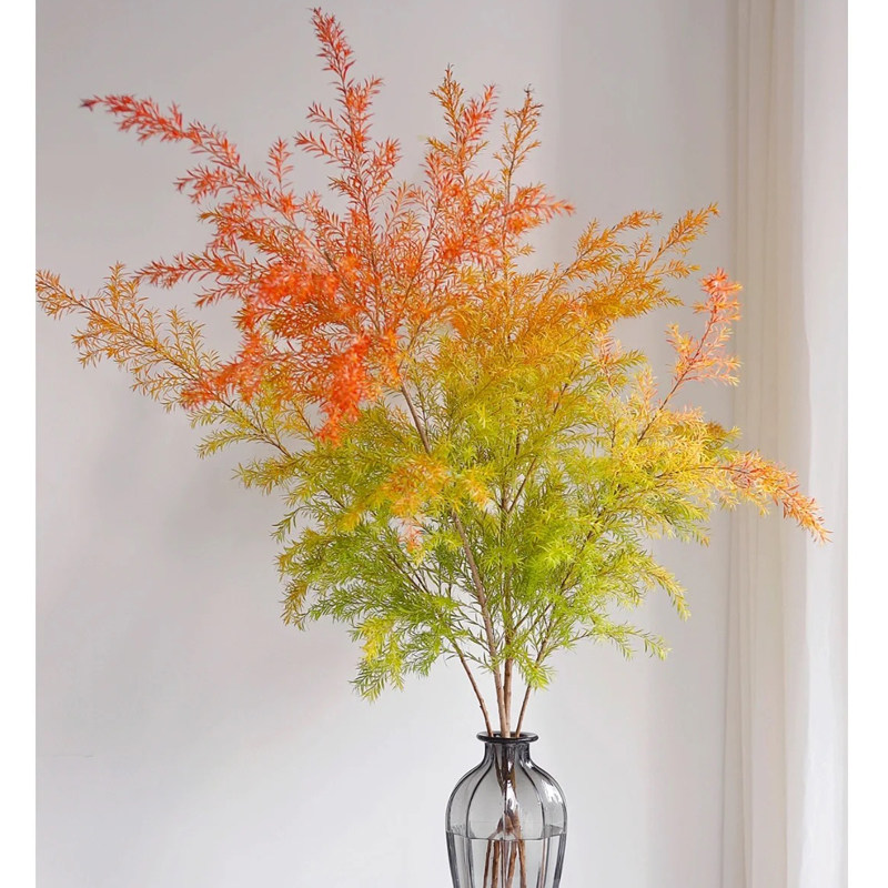 云南千层金鲜切水培植物家庭插花客厅卧室餐桌落地水养植物摆件