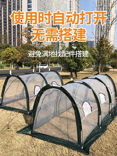 温室小花棚暖房冬季花卉植物保温棚家用菜棚房前庭院室外冬天养花