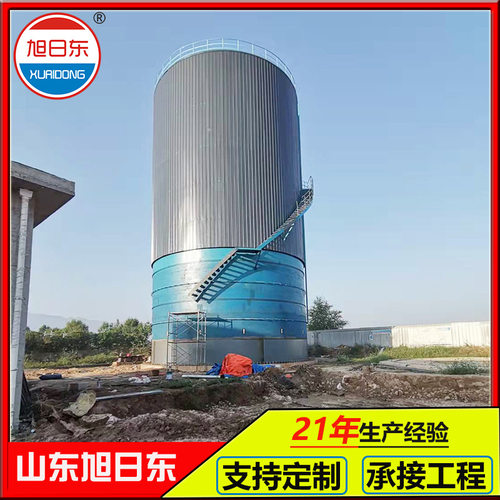 餐厨垃圾处理设备IC厌氧罐厌氧塔反应罐食品厂污水处理设备