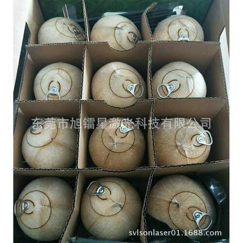 东莞厂家供应泰国椰皇椰子壳半切机 不伤椰肉不漏水的激光切割机