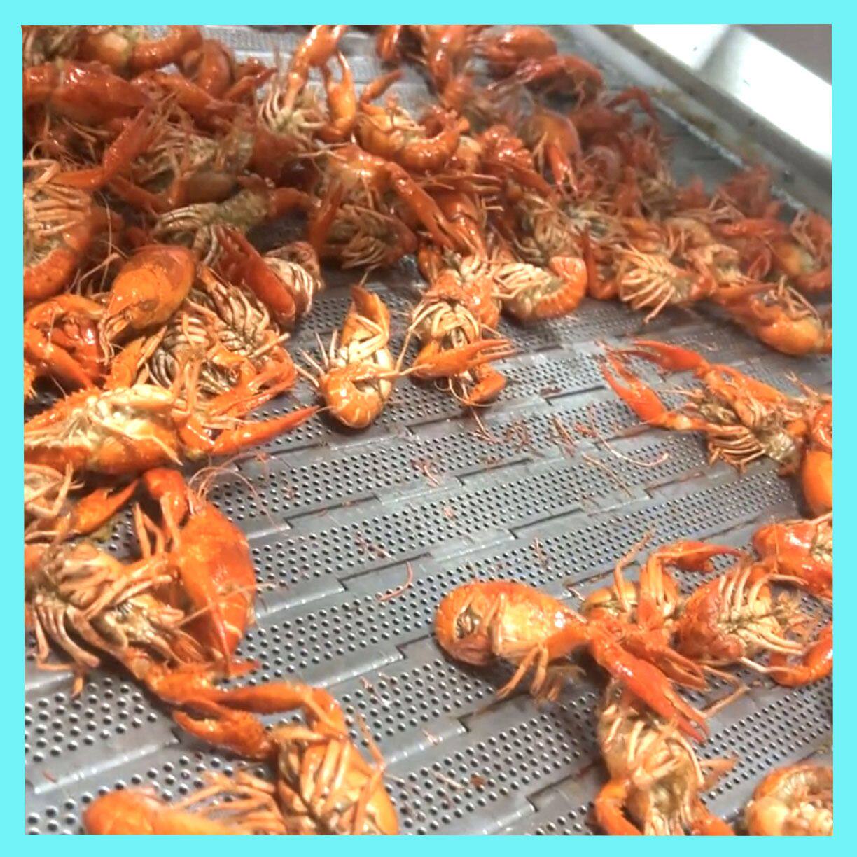 小龙虾油炸线内槽双面焊 水产品油炸机涂氟板带 鱿鱼圈油炸设备