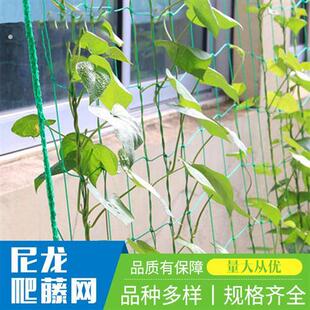 植物爬藤网铁丝种植网百香果网专用爬藤网豆角苦瓜网农用牵藤拉绳