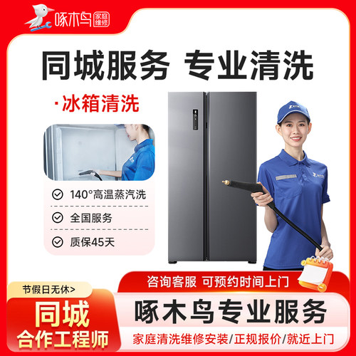 冰箱清洗上门服务北京上海广州全国同城上门家电清洗服务啄木鸟