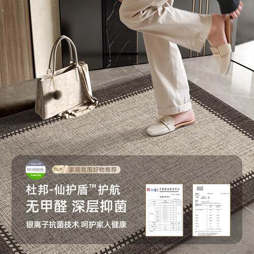 新款入户门地垫高级感门口耐脏地毯家用门垫进门玄关入户免洗脚垫