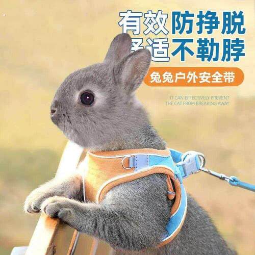 兔子牵引绳防挣脱遛小兔子专用神器背心式可伸缩外出的衣服溜绳子
