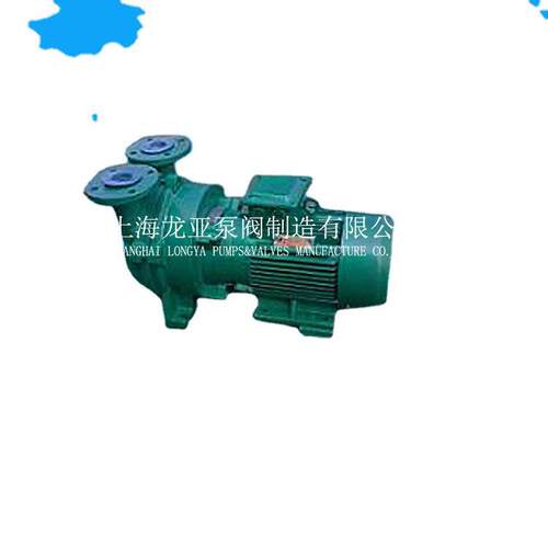 上海供应VAREM-2BVA5161-0KC单级抽气机 2BV2071-0NC水环式真空泵