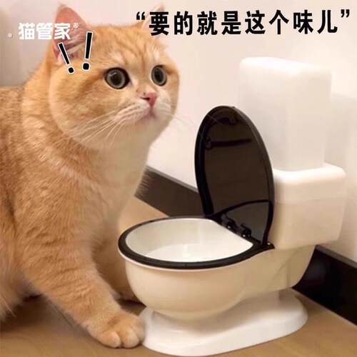 马桶饮水机 宠物饮水机 猫咪喝水神器 通用饮水器自动流动不插电