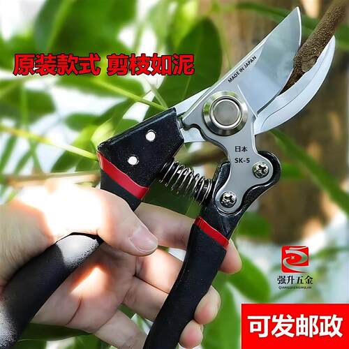 省力修枝剪家用果树修枝剪刀园林粗枝剪刀园艺剪树枝剪