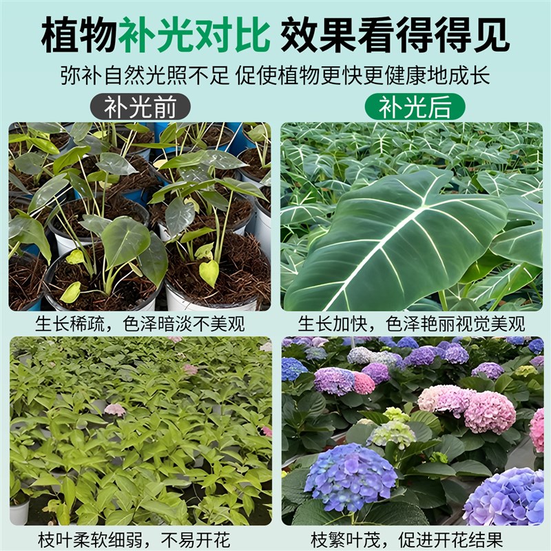 全光谱绿植物生长补光灯充电款式磁吸led室内壁挂彷太阳光不插电图片
