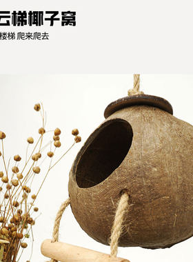 哈姆神奇金丝熊仓鼠笼子 景观前门亚克力60基础笼用品 超大别墅