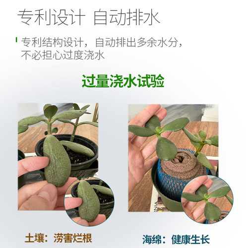 Xponge无土多肉海绵水培基质手工造型 懒人花盆替代水苔植料