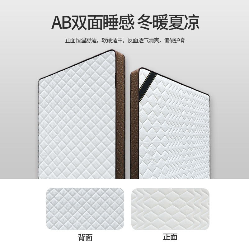 隐形床壁床专用席梦思弹簧床垫天然床垫软硬家用儿童椰棕垫薄床垫