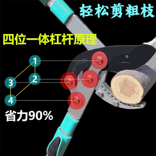 剪树枝专用剪刀粗枝大剪刀果树修枝剪刀大力剪强力树枝剪园林工具