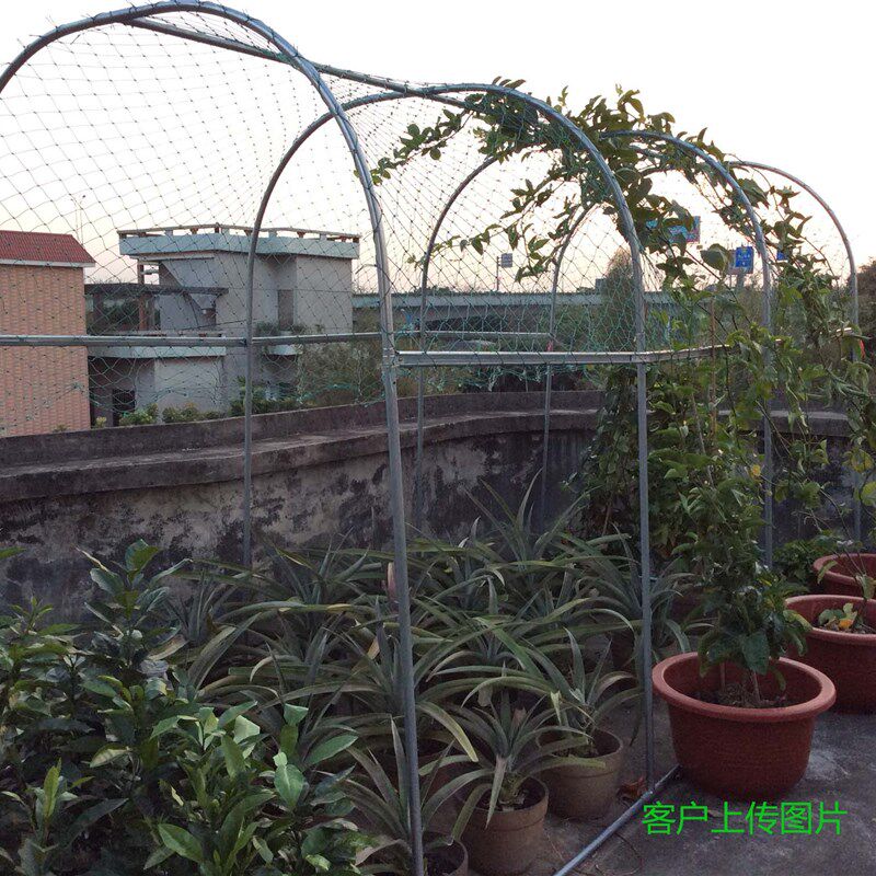 铁线莲月季蔷薇黄瓜南瓜爬藤架阳台庭院花园攀爬花架钢管大棚骨架