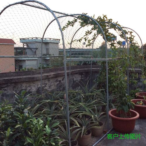 铁线莲月季蔷薇黄瓜南瓜爬藤架阳台庭院花园攀爬花架钢管大棚骨架