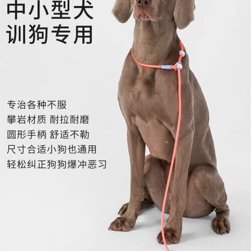狗狗牵引绳P绳小狗链子中小型犬泰迪训犬专用P链防爆冲幼犬遛狗绳