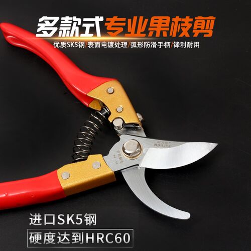 果枝剪园艺剪刀修枝剪粗枝剪园林剪子树枝花枝剪葡萄剪中草药剪刀