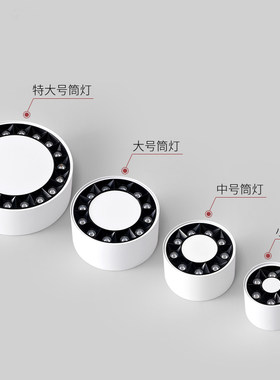 极简客厅无主灯设计圆形斗胆灯格栅灯卧室吸顶式射灯led明装筒灯