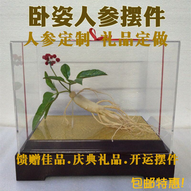 卧姿人参摆件展柜展品送礼礼品室内装饰品人参样品工艺品