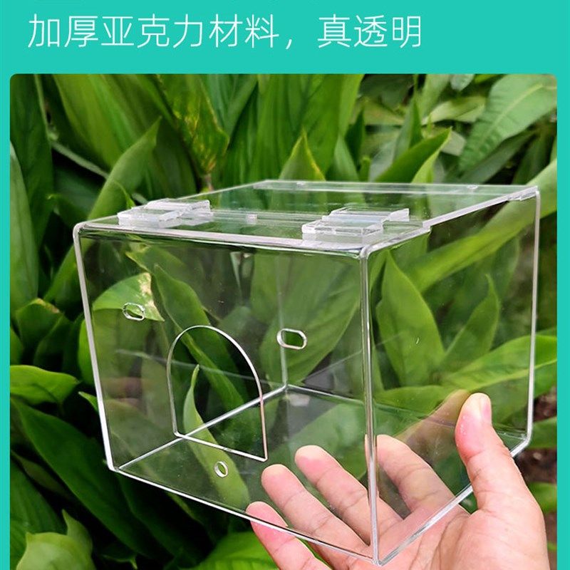 全透明鹦鹉繁殖箱竖式大号亚克力虎皮牡丹玄凤专用巢箱鸟窝鸟巢