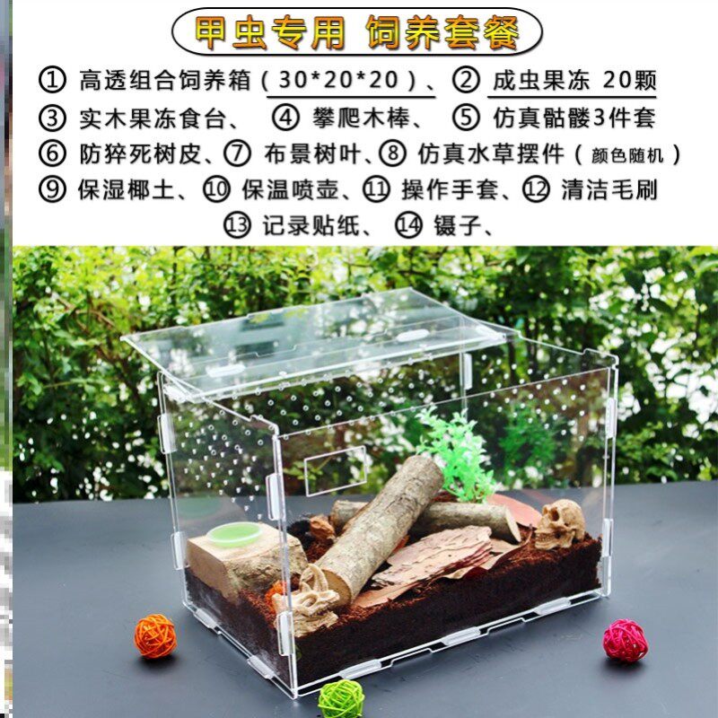 甲虫饲养箱 爬宠饲养盒亚克力透明塑料大号甲虫守宫爬宠饲养箱