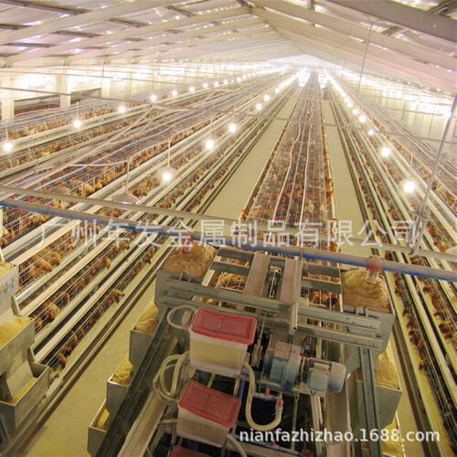 A型厂家出口双层镀锌蛋鸡笼三层四层立式蛋鸡笼养殖蛋鸡笼笼具厂