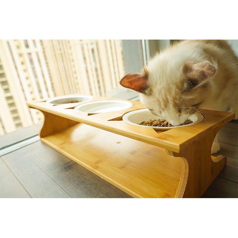 猫碗三碗 陶瓷猫碗 猫碗双碗 固定支架宠物猫咪餐桌碗架猫碗架子
