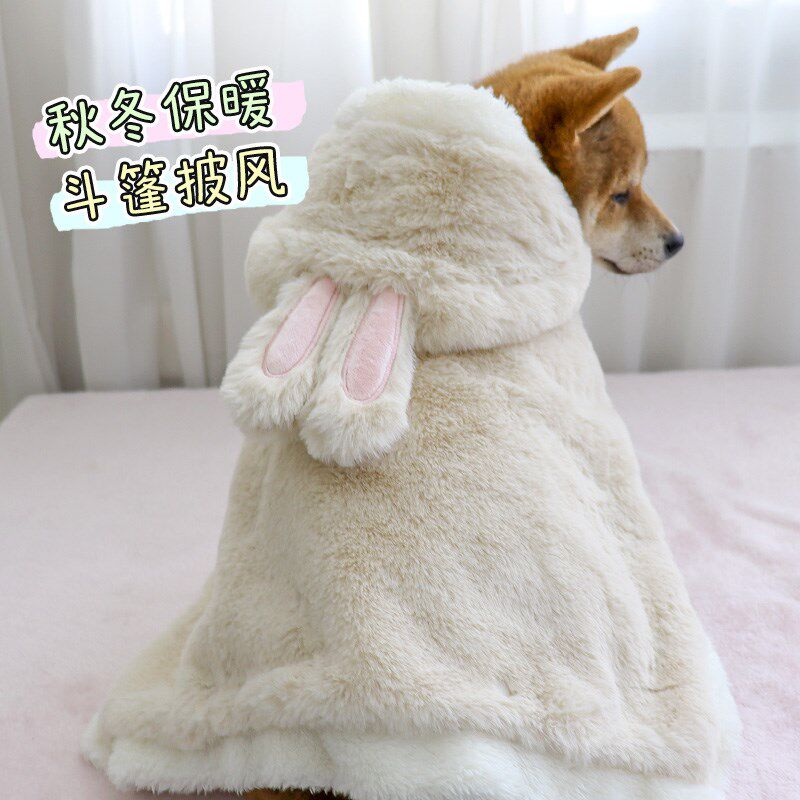 小飞棍来咯~犬猫居家外出防寒保暖毛毯中小型犬毯子披肩柴犬披风