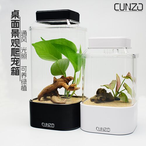 爬虫爬宠玻璃通风款小型饲养盒蜘蛛雨林蝎甲虫造景饲养箱高透观赏
