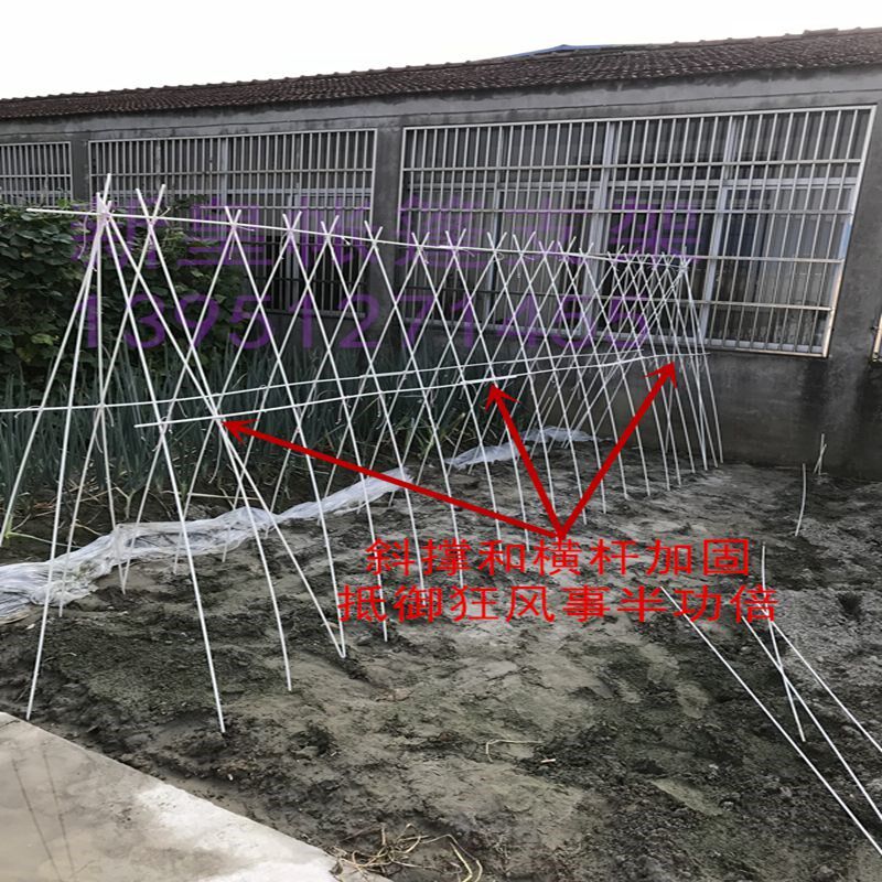 豆角黄瓜爬藤架家用农用豇豆架玻璃纤维杆玻璃钢小苗支撑杆棒架子