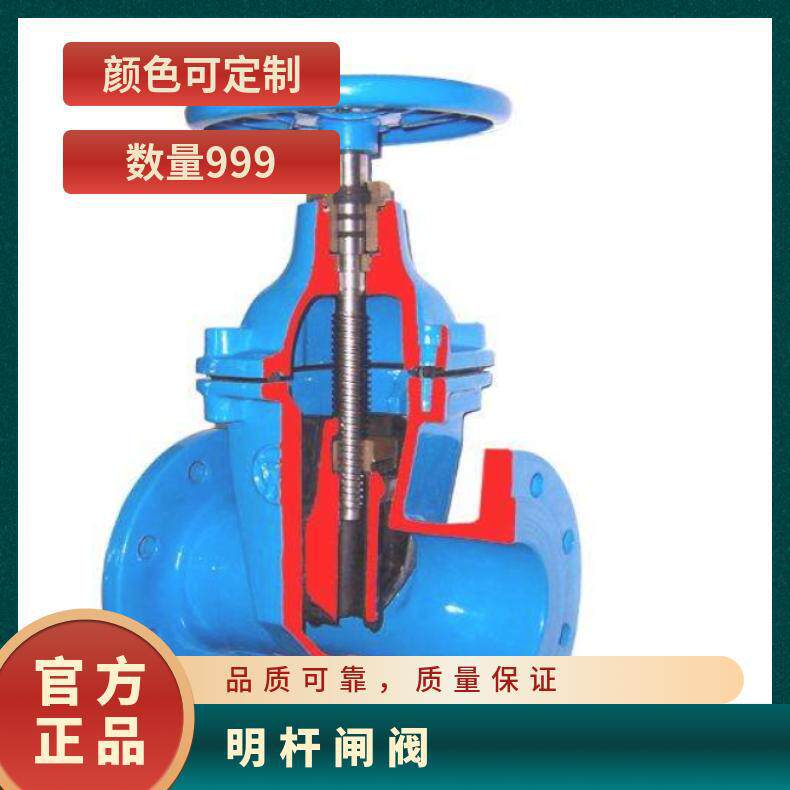 埃美柯 明杆闸阀Z41X-16Q DN50 65 80 100 125~250法兰 硬密封型图片