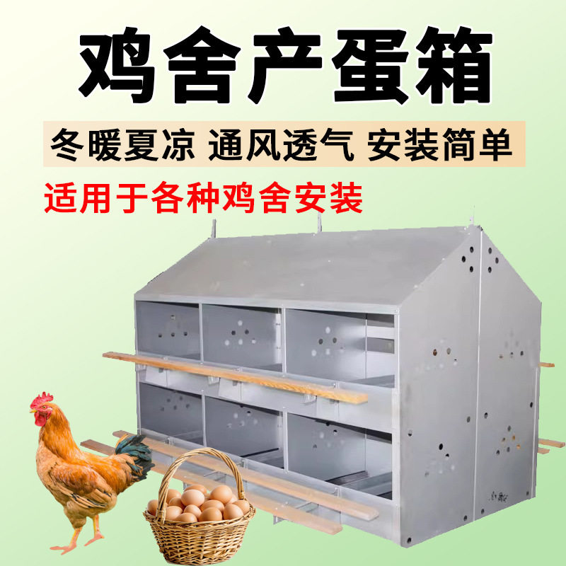 散养鸡产蛋箱养殖母鸡下蛋架子防雨母鸡种鸡集蛋箱母鸡家禽垒德株 - 实物图