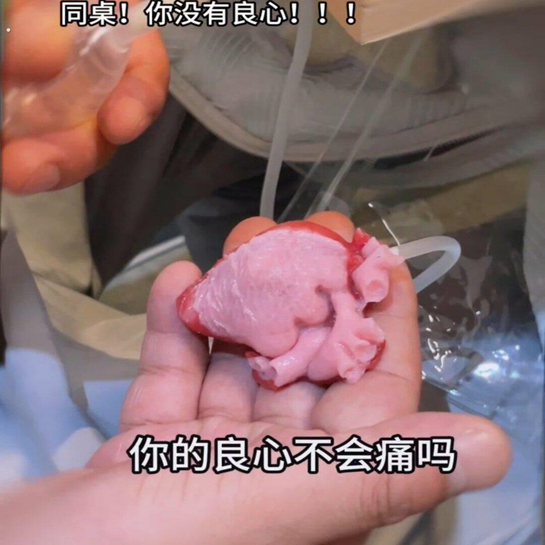 创意仿真心脏捏捏乐模拟跳动解压神器办公室情绪稳定大人玩的整蛊