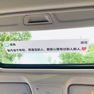 如今这个年纪车贴遇见的人创意贴纸全剧终汽车改装饰天窗后档贴纸