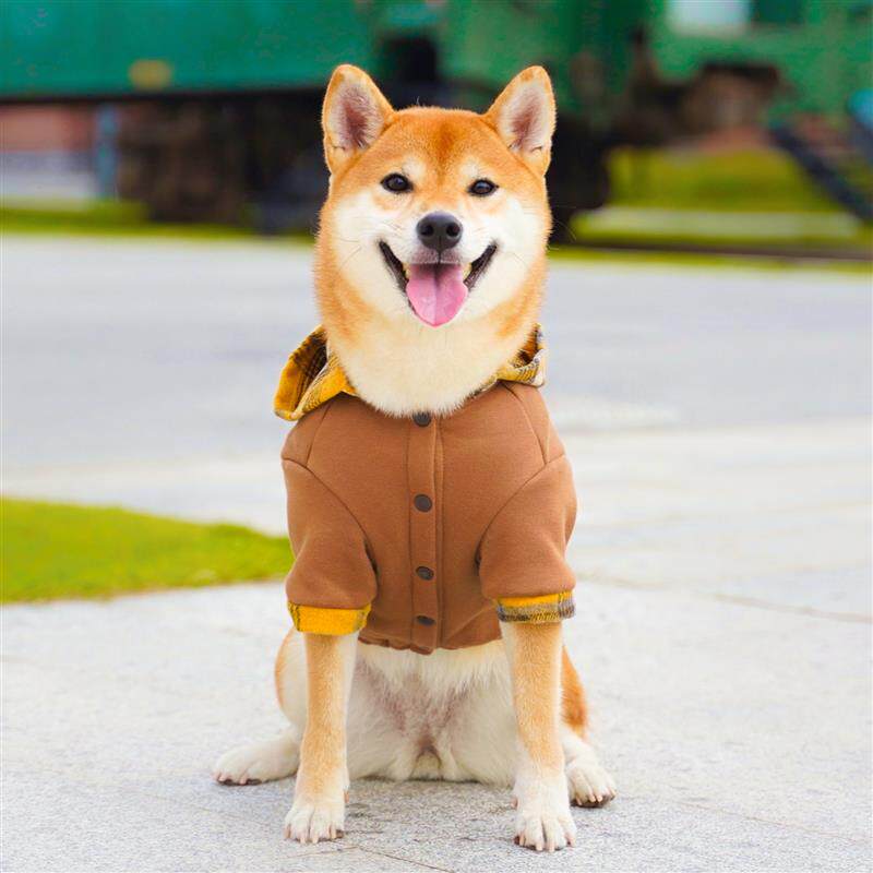 一杯热可可 柴犬新年衣服可爱潮帽衫英伦复古外套保暖棉服喜庆红